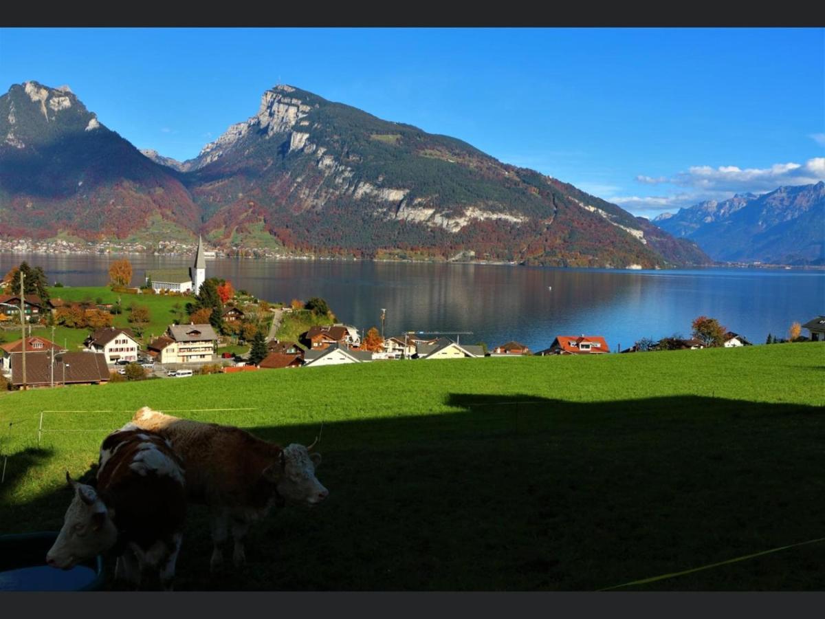 Lakeviewhouse Ferienhaus *
